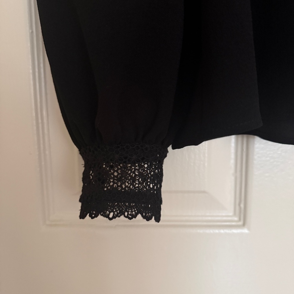 Sezane Black Lace Blouse - Picture 2 of 12